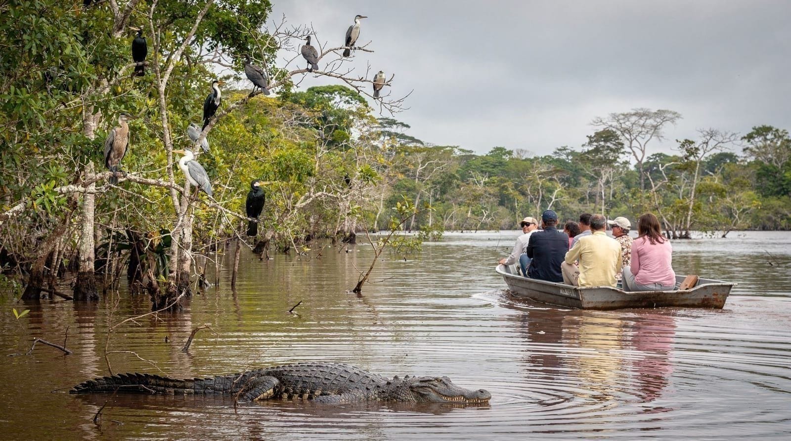 Refugio de Vida Silvestre Caño Negro