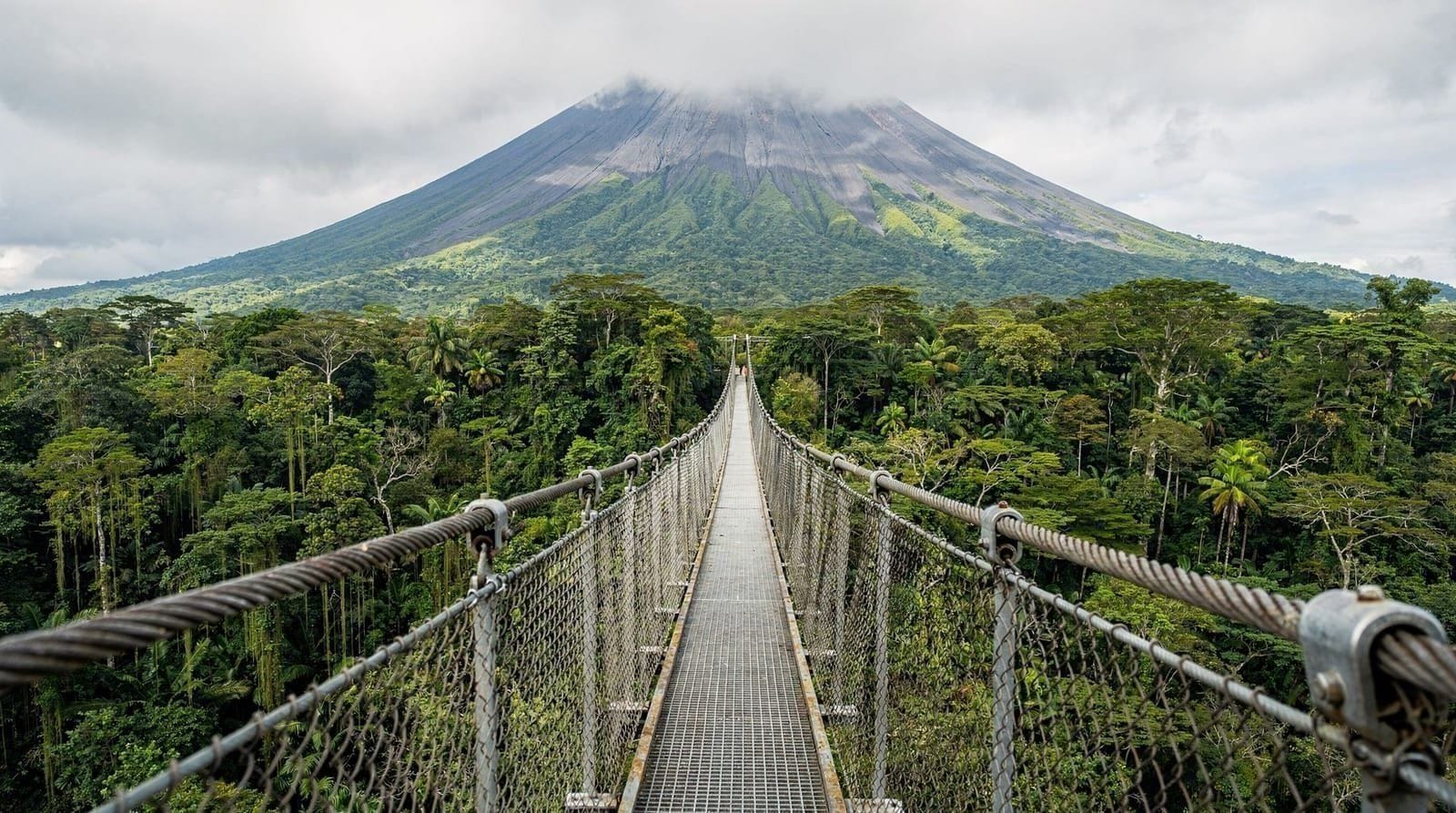 Mistico Arenal Hanging Bridges