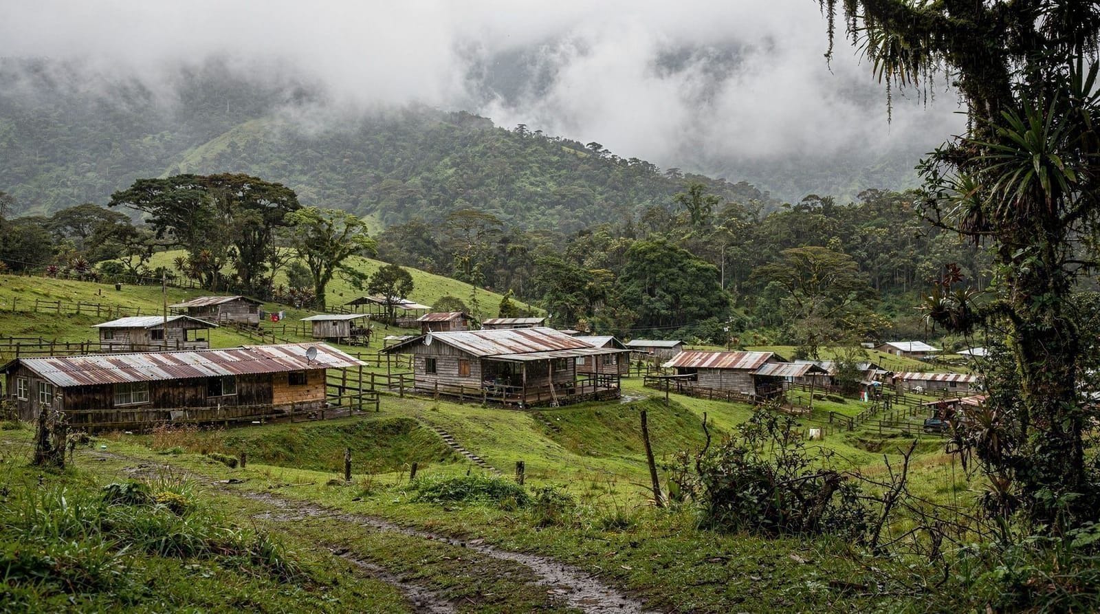 Monteverde