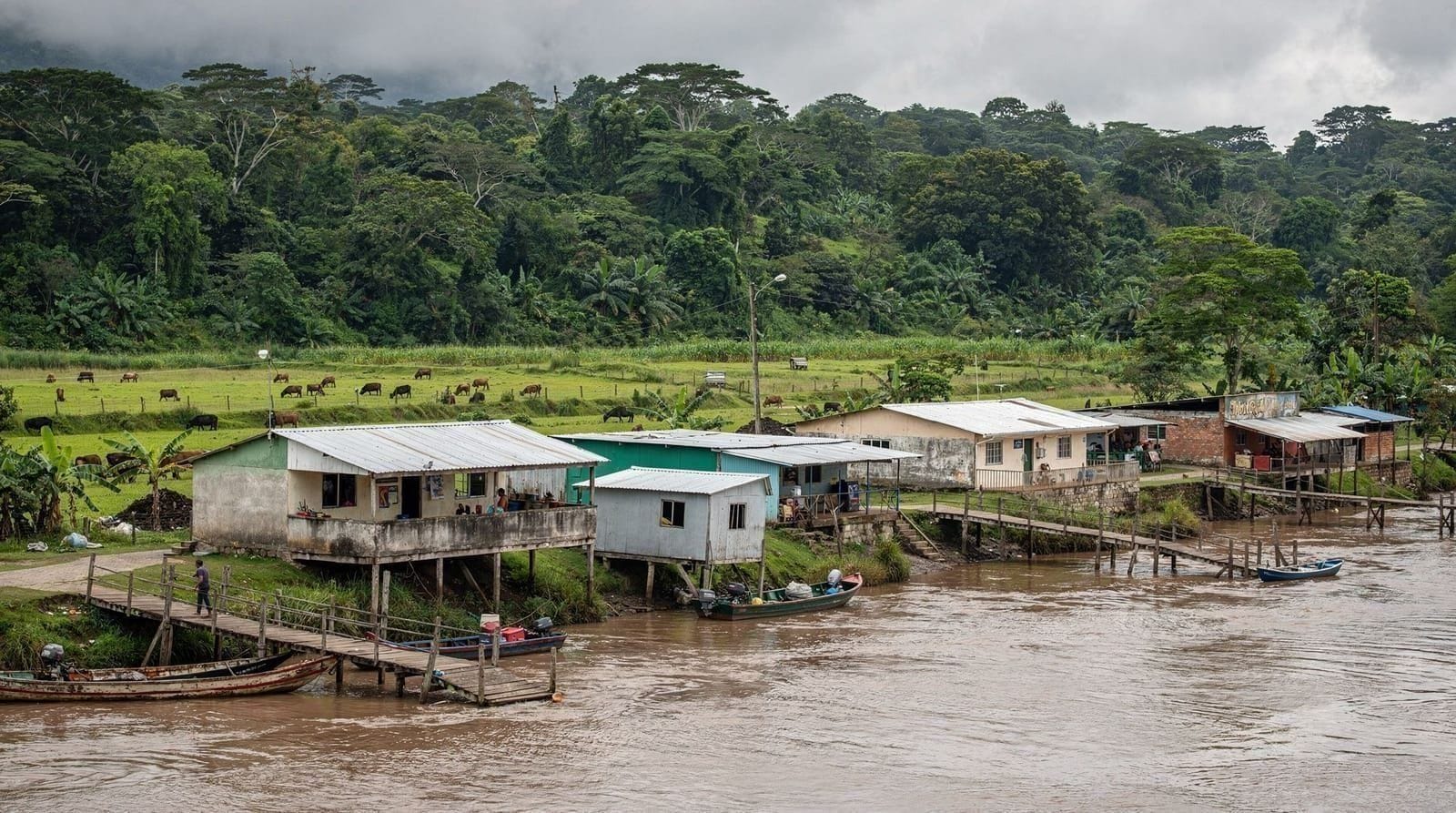 Guía de viaje de Puerto Viejo de Sarapiquí