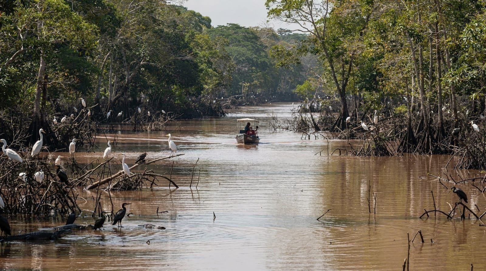 El Río Frío