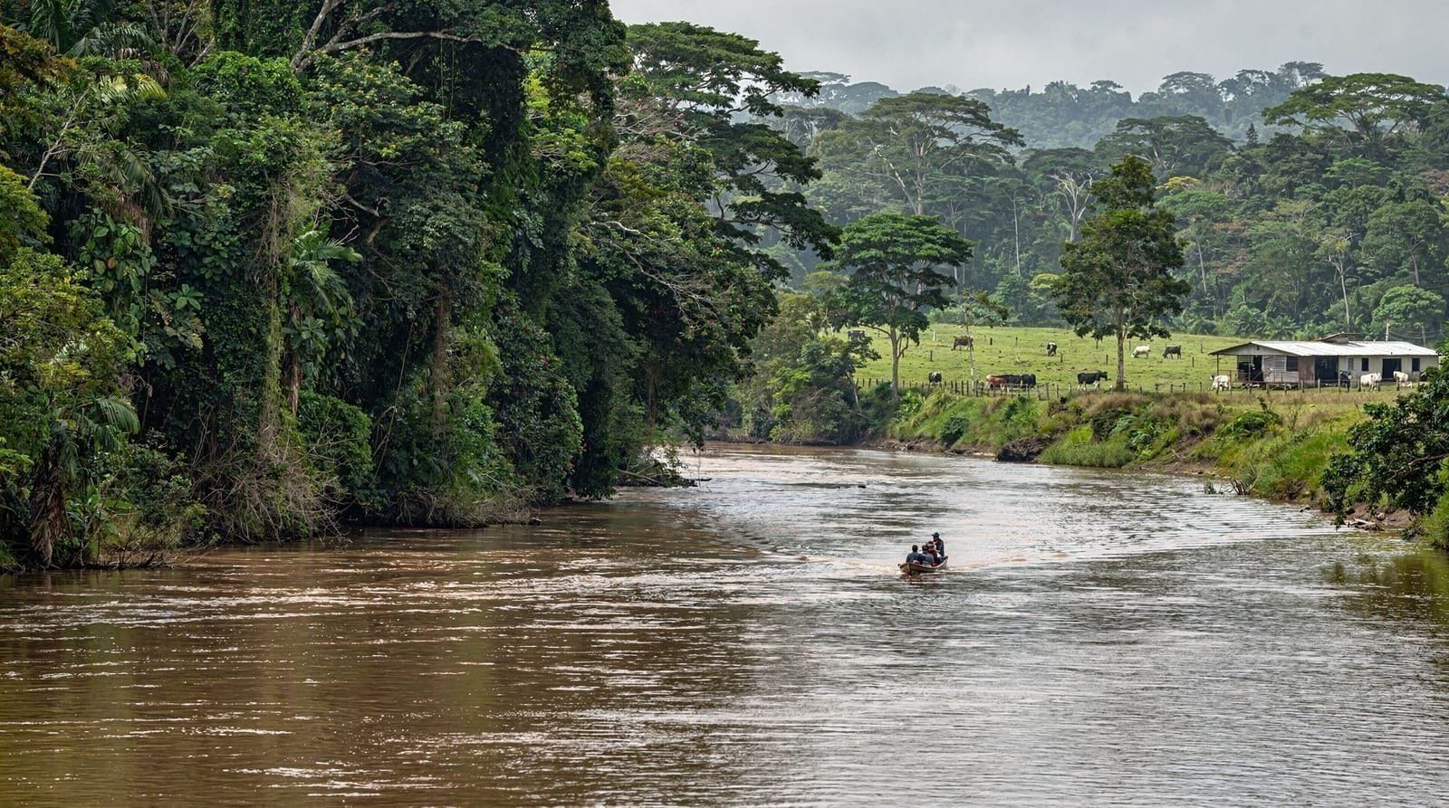 Sarapiquí: Costa Rica's Other Rainforest, Two Hours from La Fortuna