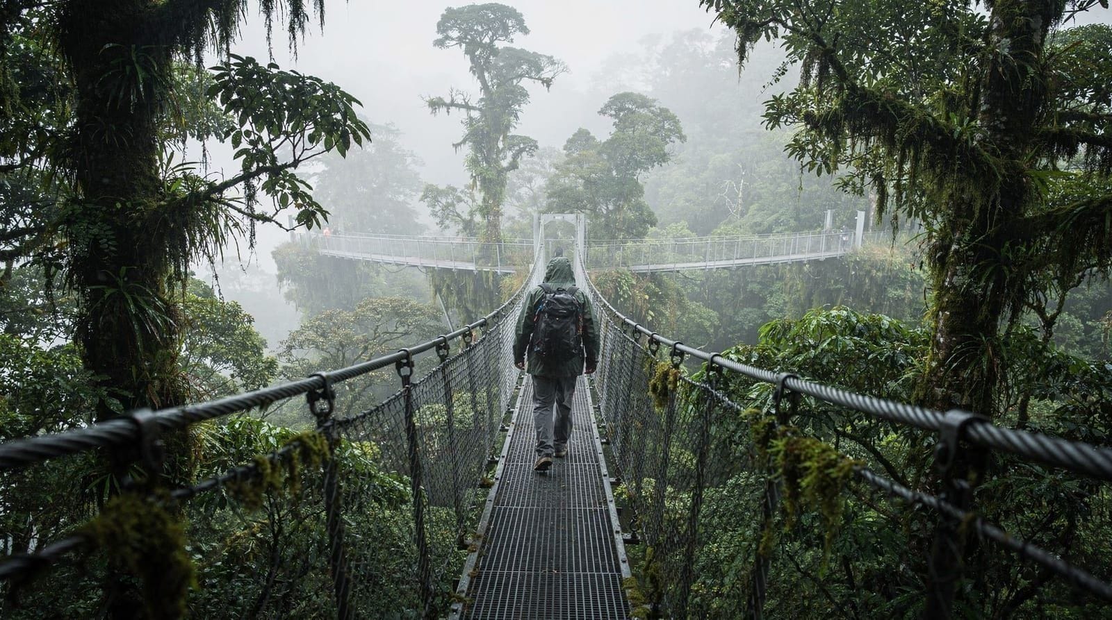 Selvatura Park: puentes colgantes, tirolina y exhibiciones de fauna en Monteverde