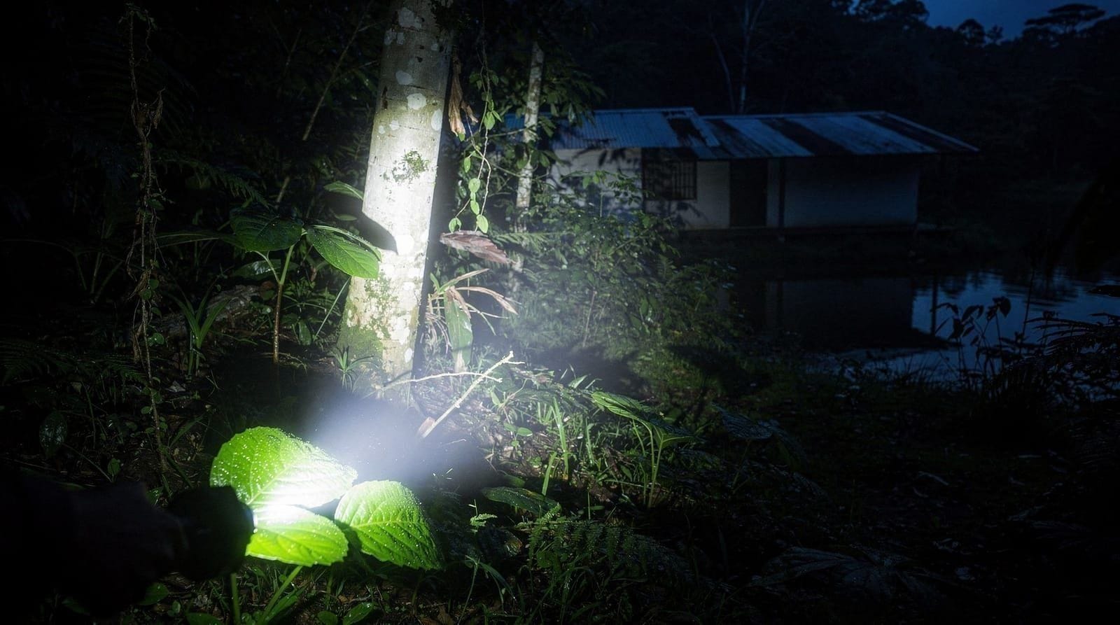 Tour nocturno de Arenal Natura: qué ofrece realmente este parque híbrido