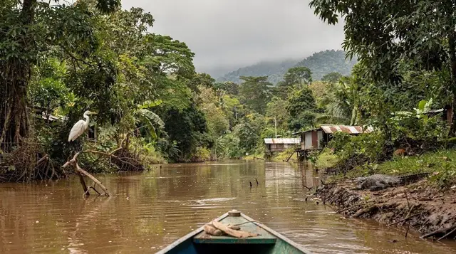 Boat Tours on the Río Frío: A Wildlife Cruise Near Caño Negro