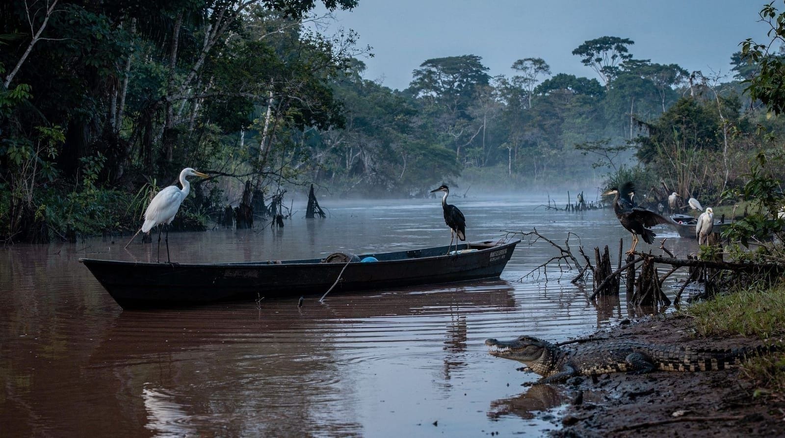 Excursión de un día a Caño Negro desde La Fortuna: ¿vale la pena el trayecto?