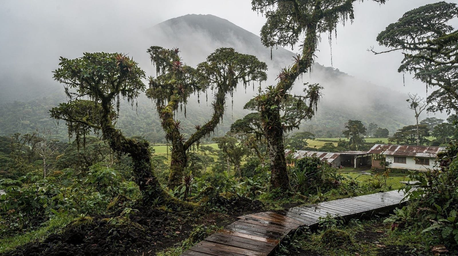 La Reserva del Bosque Nuboso de Monteverde, explicada