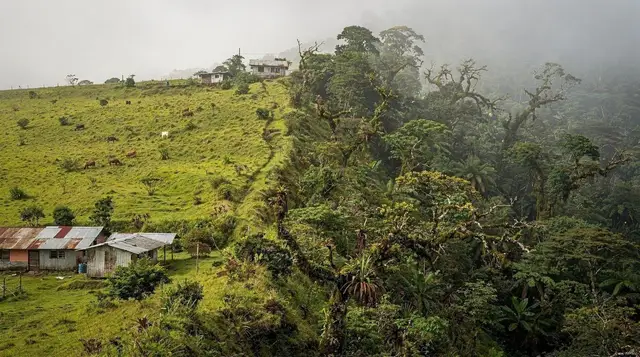 A Monteverde Day Trip from La Fortuna: What You Actually Get