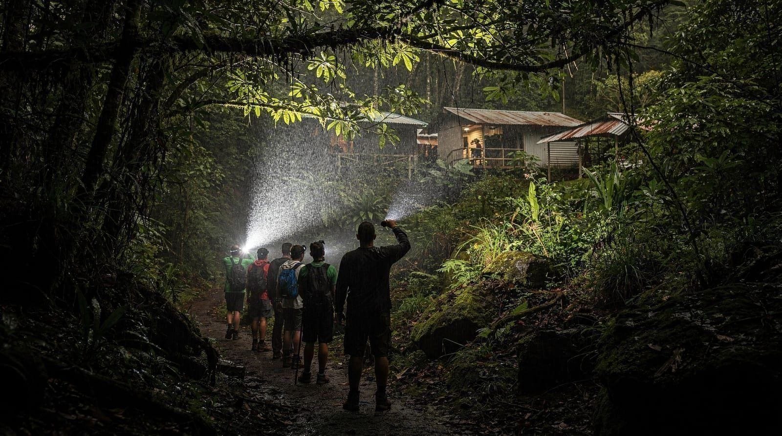 Caminatas nocturnas en La Fortuna: guía de tours guiados de fauna