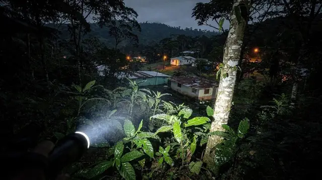 What to Bring on a Night Walk in La Fortuna